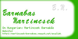 barnabas martincsek business card